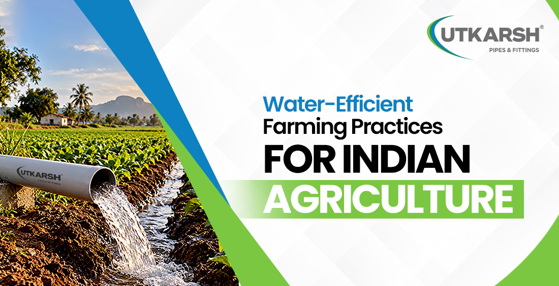 Water-Efficient Farming Practices for Indian Agriculture